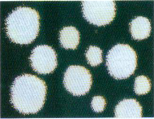 中國(guó)結(jié)加珍珠沙